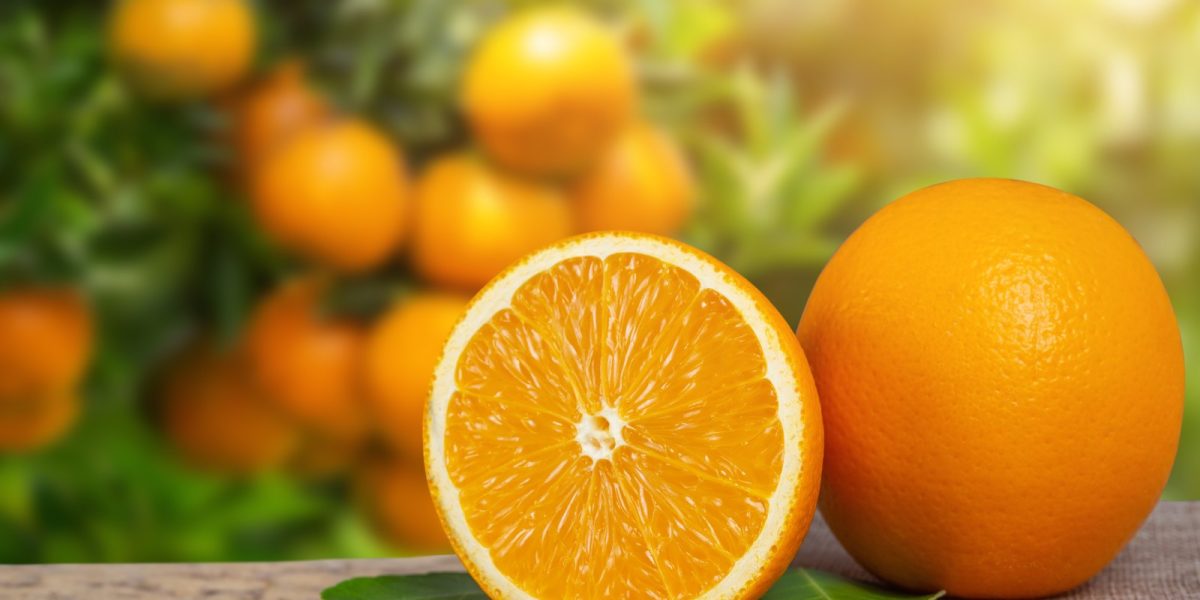 citrus-fp