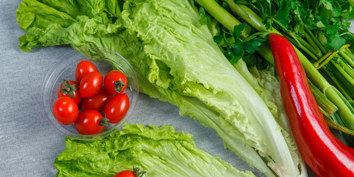 letset-lettuce-greens-peppers-cherry-tomatoes-saucer-gray-top-view