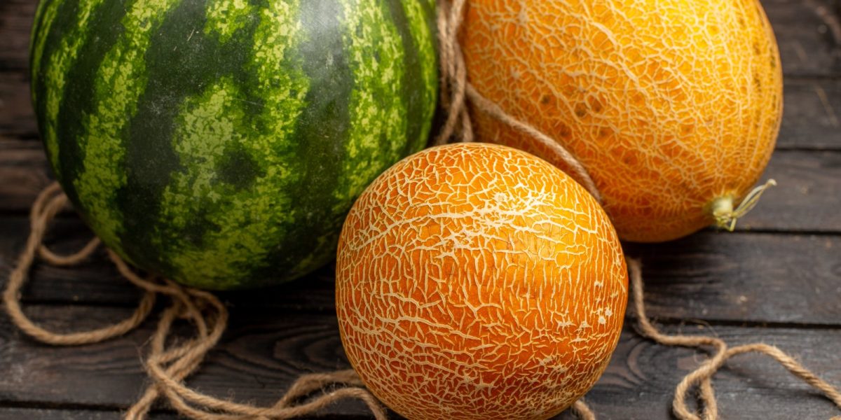 melons
